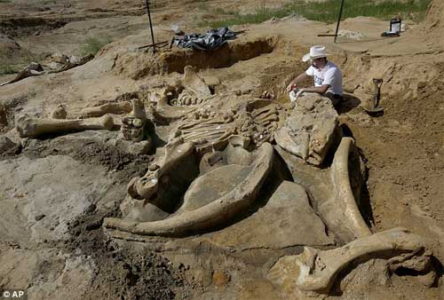 Phát hiện bộ xương khổng lồ của sinh vật thời kỷ băng hà - 1