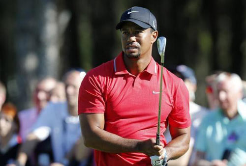 Tiger Woods tuột dốc vì lười tập luyện - 1