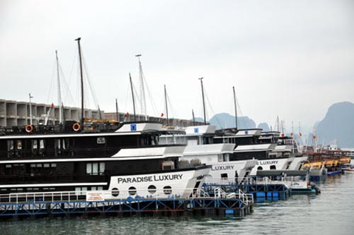 Tài sản của "chúa đảo" Tuần Châu lớn cỡ nào? - 7