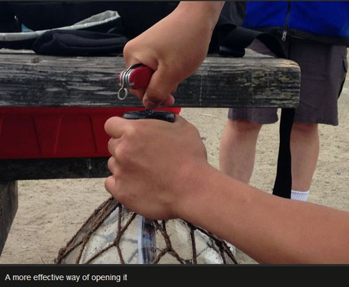 Lá thư lạ trong chiếc chai lênh đênh trên biển - 2