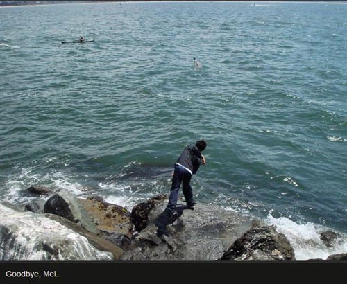 Lá thư lạ trong chiếc chai lênh đênh trên biển - 6