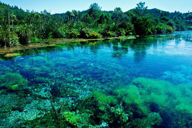 12. Hồ Pupu Springs, New Zealand: Hồ Pupu Springs là một trong những điểm du lịch nổ tiếng nhất của New Zealand. Nước trong hồ trong tới mức có thể nhìn rõ những sinh vật dưới đáy hồ. Vào mùa xuân, có tới 14.000 lít nước đổ vào hồ mỗi giây.
