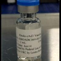 Tin tức trong ngày - "Thần dược" trị Ebola chứng minh hiệu quả ở loài khỉ