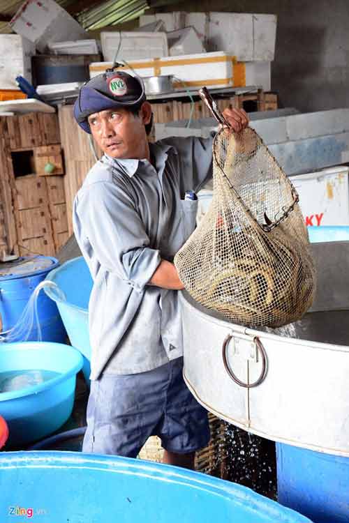 Kiếm 300 triệu/tháng nhờ nuôi lươn không bùn ở Sài Gòn - 10