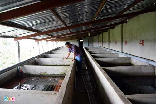 Kiếm 300 triệu/tháng nhờ nuôi lươn không bùn ở Sài Gòn - 3