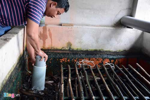 Kiếm 300 triệu/tháng nhờ nuôi lươn không bùn ở Sài Gòn - 5