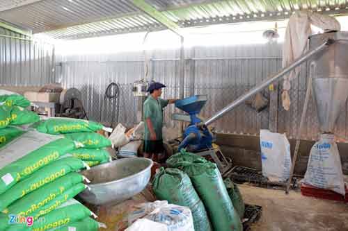 Kiếm 300 triệu/tháng nhờ nuôi lươn không bùn ở Sài Gòn - 7