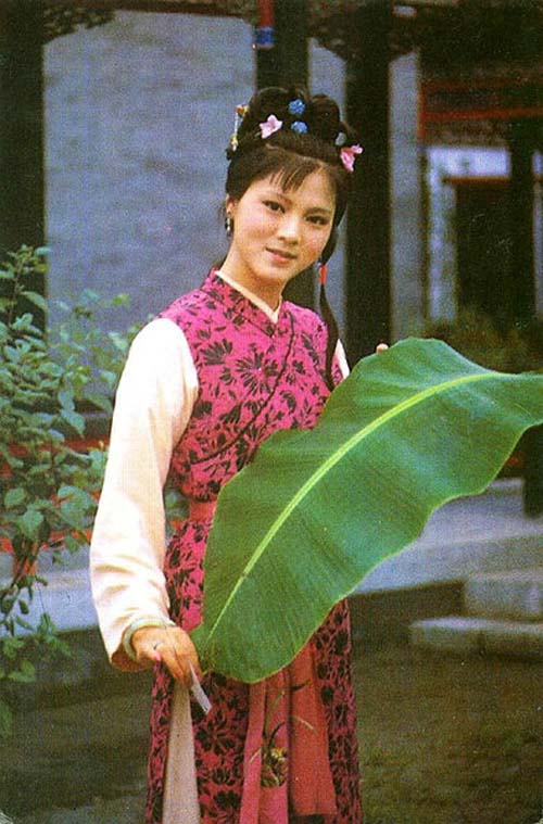 18 bóng hồng "gây thương nhớ" trong Hồng Lâu Mộng - 8