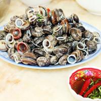 Ẩm thực - Ốc còi mà "không còi" ở Khe Khoai