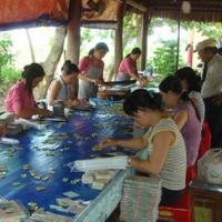 Du lịch - Xứ dừa Cồn Phụng khó quên