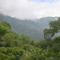 Pháp luật - Sát nhân vùng Tây Bắc: Những cuộc vây bắt bất thành