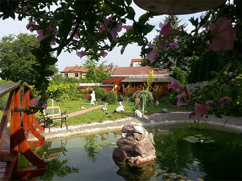 Ngôi nhà tuyệt đẹp của chủ nhân người Việt ở Séc - 11