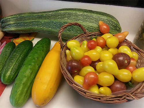 Ngôi nhà tuyệt đẹp của chủ nhân người Việt ở Séc - 18