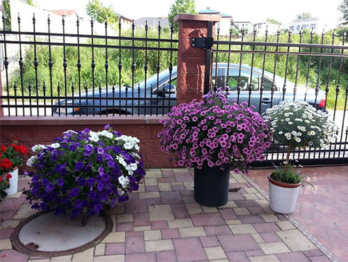 Ngôi nhà tuyệt đẹp của chủ nhân người Việt ở Séc - 5