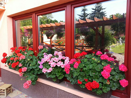 Ngôi nhà tuyệt đẹp của chủ nhân người Việt ở Séc - 6