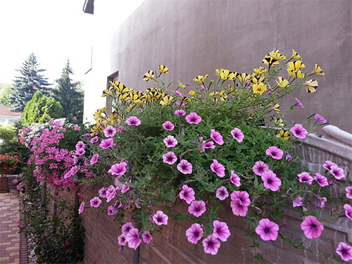 Ngôi nhà tuyệt đẹp của chủ nhân người Việt ở Séc - 9