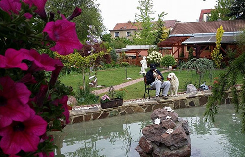 Ngôi nhà tuyệt đẹp của chủ nhân người Việt ở Séc-Bạn trẻ - Cuộc sống