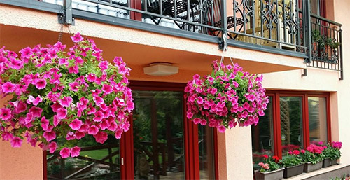 Ngôi nhà tuyệt đẹp của chủ nhân người Việt ở Séc - 10