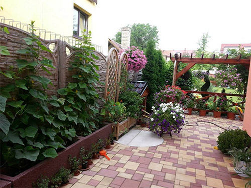 Ngôi nhà tuyệt đẹp của chủ nhân người Việt ở Séc - 15