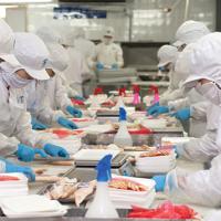 Thị trường - Tiêu dùng - Ồ ạt nhập khẩu thủy sản