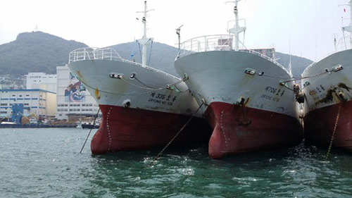 Hai doanh nghiệp xin nhập tàu cũ: Không thuộc diện vay ưu đãi - 1