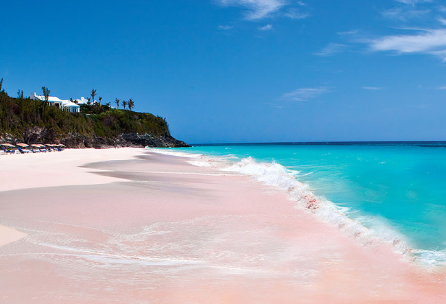 1. Bãi biển cát màu hồng tuyệt đẹp ở Bahamas.
