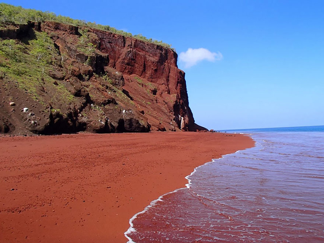 17. Bãi biển cát đỏ thuộc hòn đảo&nbsp;Rabida, quần đảo&nbsp;Galapagos,&nbsp;Ecuador.
