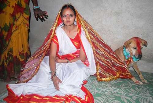 Video: Cô gái Ấn Độ kết hôn với... chó - 1