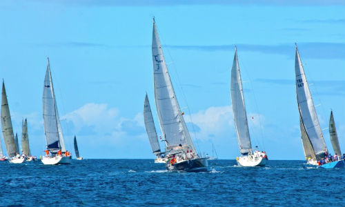 Những môn thể thao tốc độ hấp dẫn nhất thế giới - 1