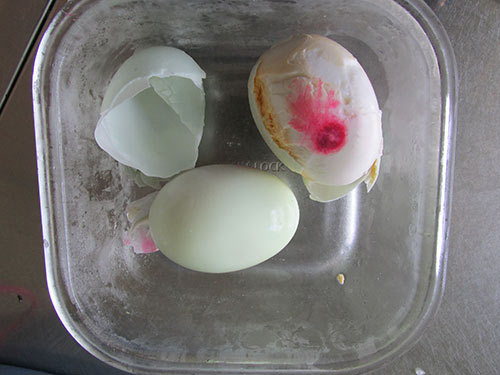 Xôn xao trứng vịt có màu bất thường - 1