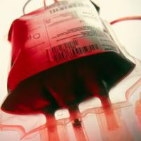 Tin tức trong ngày - WHO khuyên dùng máu của người sống sót để trị Ebola