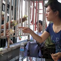 Bóng đá - “Sốt vé" U19 VN lên cao trào, VFF trực tiếp bán vé