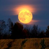 Phi thường - kỳ quặc - Tối nay, sẽ có "mặt trăng thu hoạch và siêu mặt trăng"