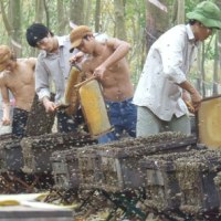 Cẩm nang tìm việc - Lão nông và những tour du lịch với... “cỗ máy” kiếm tiền
