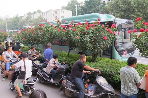 TQ: Cụ già đột tử vì đánh thanh niên trên xe bus - 1