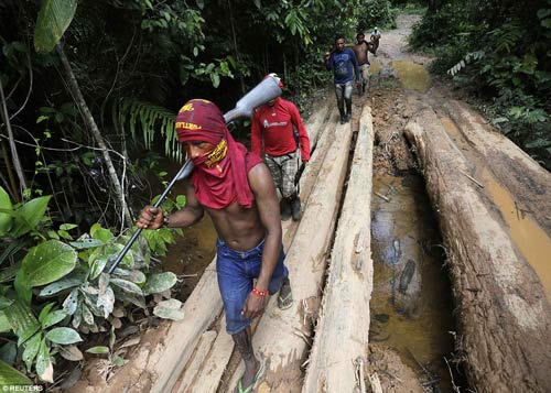 Ảnh: Thổ dân vũ trang chống lâm tặc ở rừng Amazon - 1
