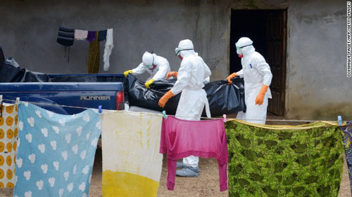 Ebola có thể biến đổi và gây đại họa cho nhân loại - 1