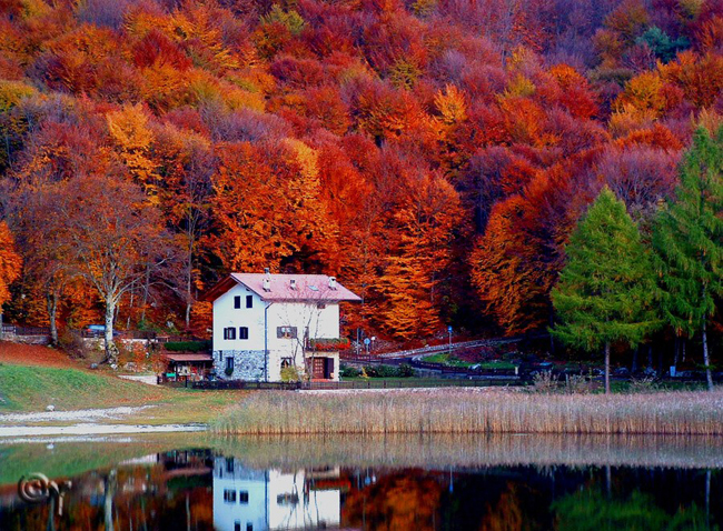 1. Ngôi nhà nhỏ nép mình giữa khu rừng mùa thu đỏ rực lá ở miền Bắc nước Ý.
