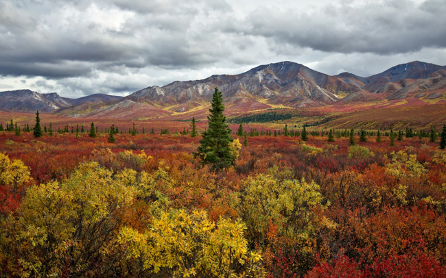 17. Mùa thu đẹp say lòng tại vườn Quốc gia Denali, thuộc bang&nbsp;Alaska (Mỹ).
