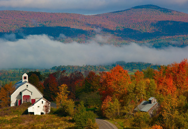 19. Sắc màu mùa thu phủ kín khắp các cánh rừng ở&nbsp;tiểu bang&nbsp;Vermont (Mỹ).
