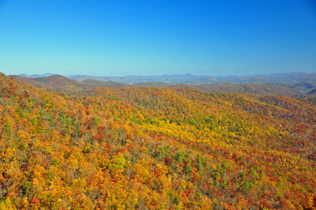 22. Thành phố&nbsp;Asheville, bang North Carolina, Mỹ: Vào mùa thu, trên khắp các cánh&nbsp;rừng thuộc&nbsp;thành phố&nbsp;Asheville như được&nbsp;khoác lên mình tấm thảm rực rỡ sắc màu.&nbsp;
