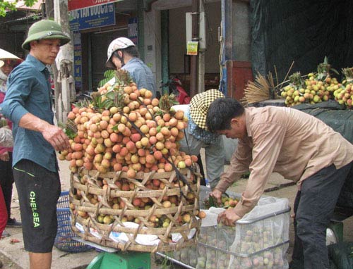 Trái cây Việt rộng đường vào Mỹ - 1