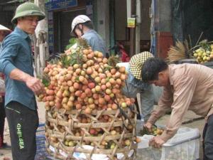 Thị trường - Tiêu dùng - Trái cây Việt rộng đường vào Mỹ