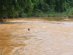 Tin tức trong ngày - Bỏ cáp treo tự chế, dân cược mạng sống với "thủy thần"