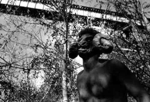 10 sinh vật đáng sợ và bí ẩn nhất thế giới - 4