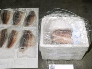 Tin tức trong ngày - Úc bắt 2 người Việt vận chuyển lượng ma túy "khủng"