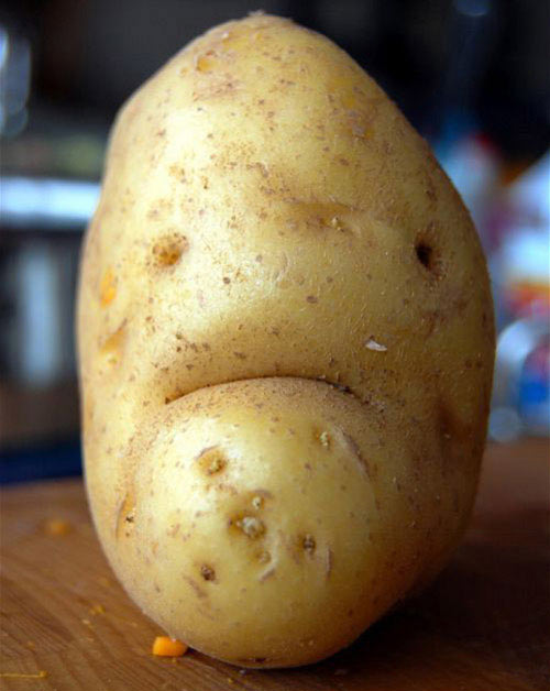 Đẹp trai "khoai to" có gì sai vậy? - 1