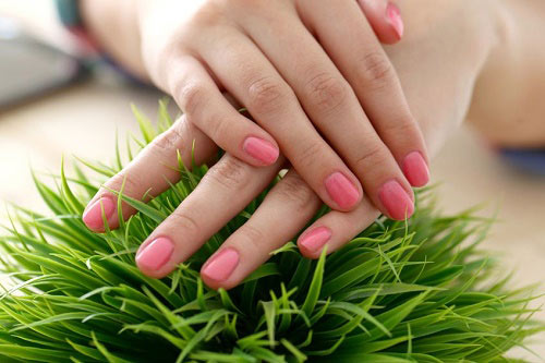 8 bí mật làm đẹp cô gái tuổi teen cần biết - 3