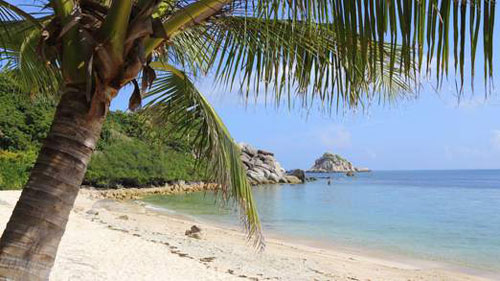 Khách du lịch người Anh bị giết hại dã man ở Thái Lan - 2