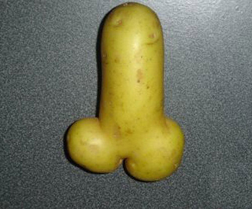 Hình dáng củ khoai khiến ta phải bật cười - 1